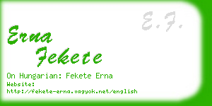 erna fekete business card